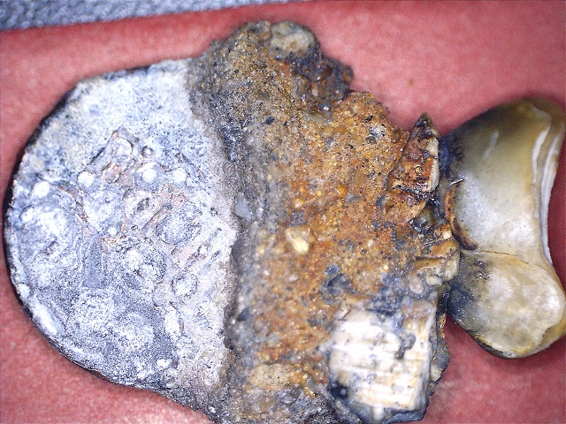 Coin-From-The-Atlantic