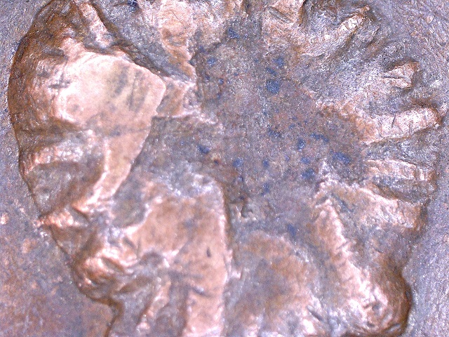 1963-D-Penny-Headache