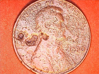 1980-Lincoln-Cent:-Looking-For-Any-New-Thoughts
