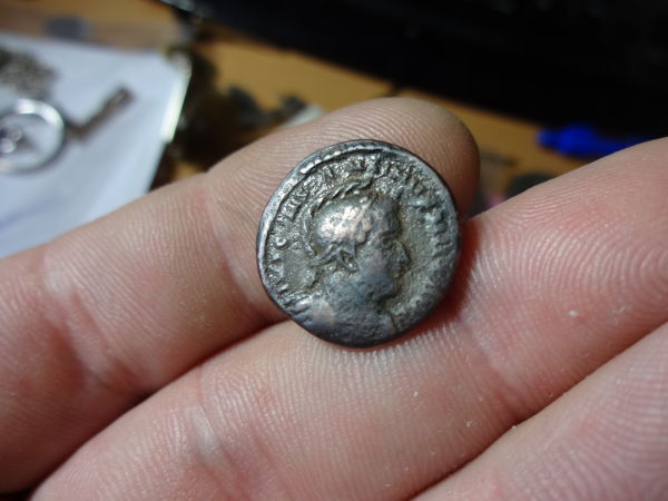 Help-With-ID-Again-Please.