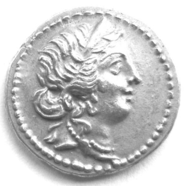 Cast-Fake-Coin,-Verification-Please