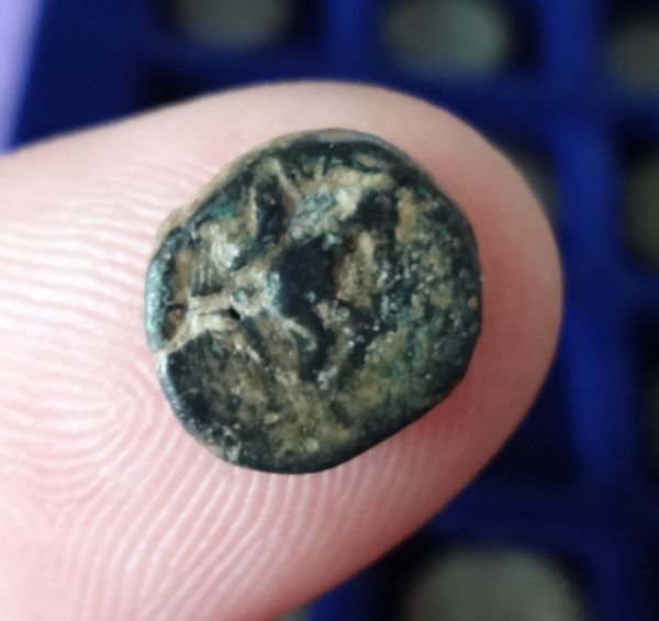 Another-Small-One,-Celtic?