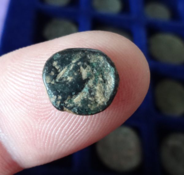 Another-Small-One,-Celtic?