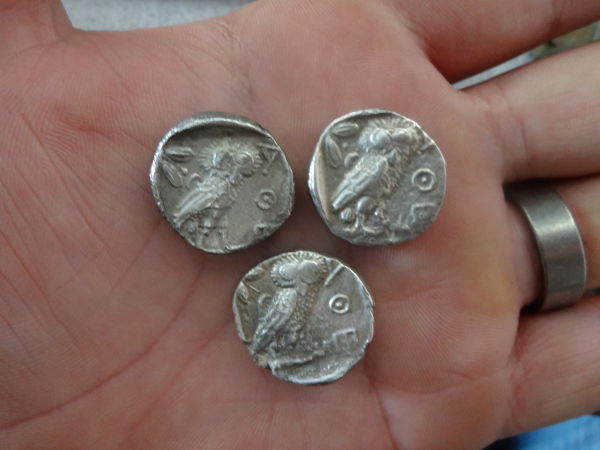 Athena-Owls...-Or-Not,-As-It-Happens...