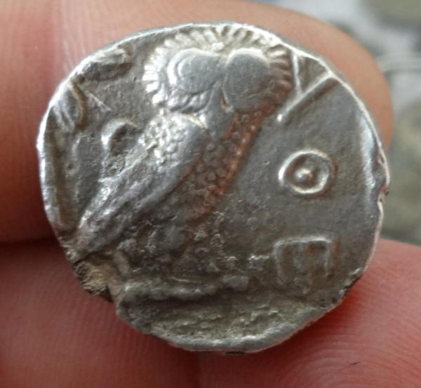 Athena-Owls...-Or-Not,-As-It-Happens...