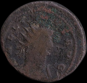 Help-With-Identification-Please---3