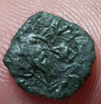 Tiny-Coin-For-Identification-Please.