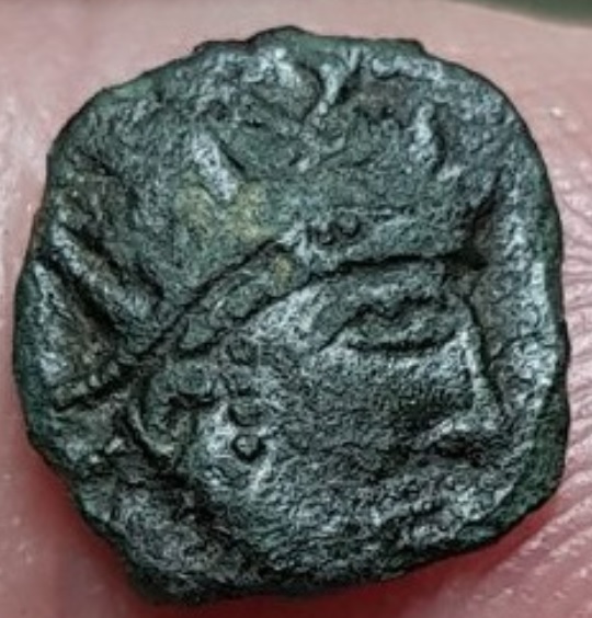 Tiny-Coin-For-Identification-Please.