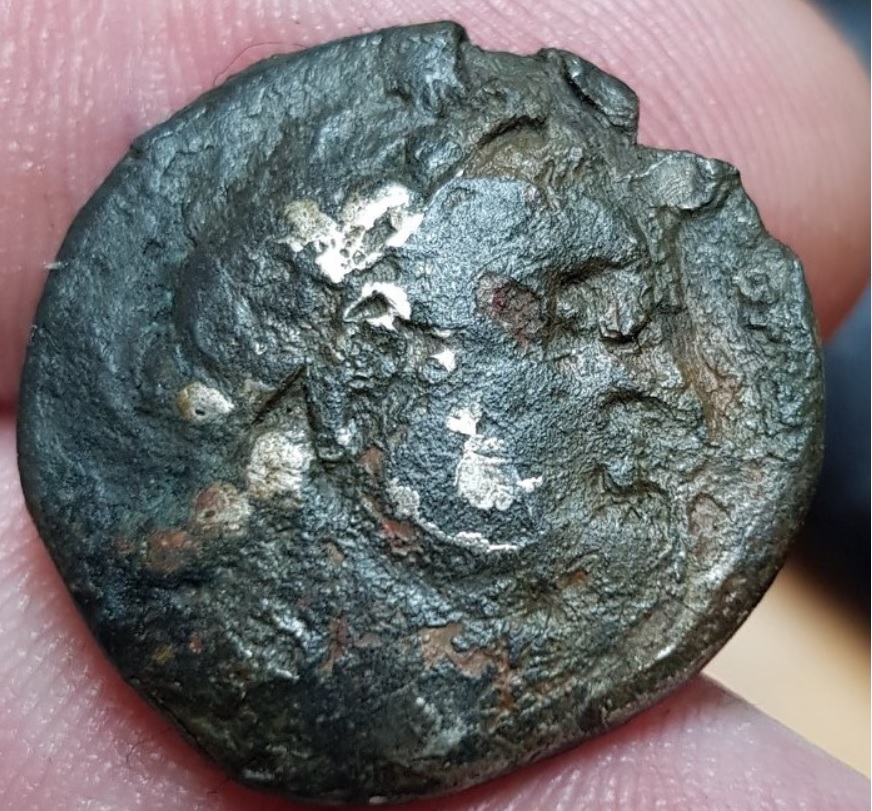 Fourrée-Coin---ID-Help-If-Possible.