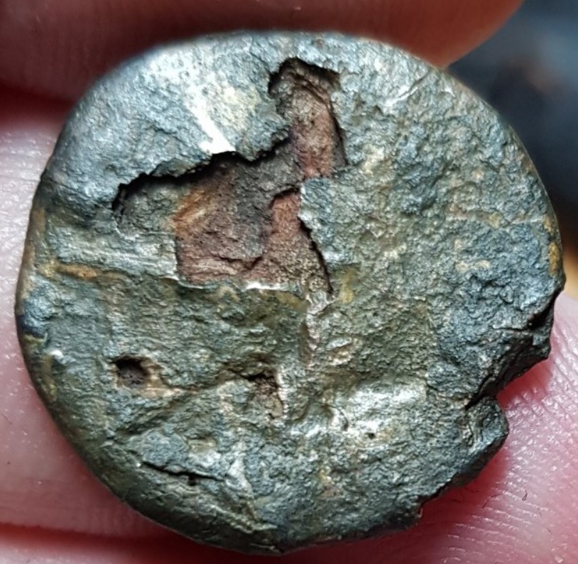 Fourrée-Coin---ID-Help-If-Possible.
