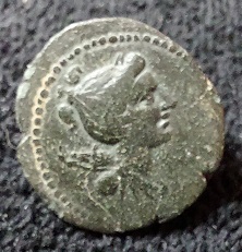 Identification-Help-Please.