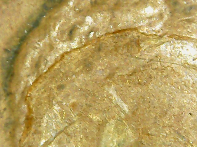 Need-Help,-Very-Strange-Wheat-1c---Must-See-This-!