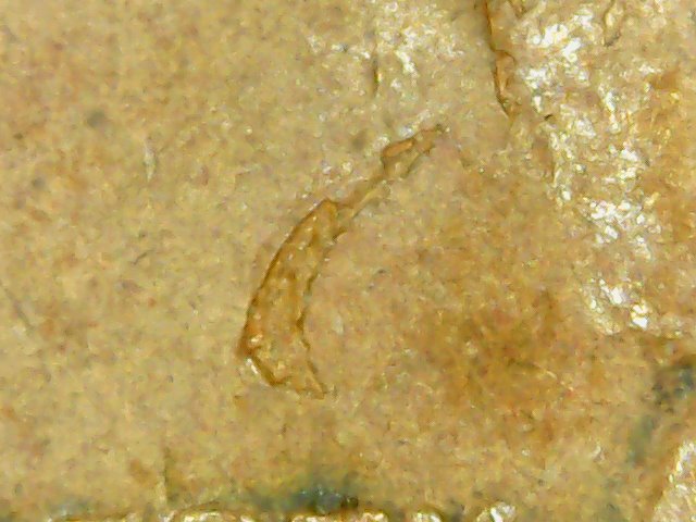 Need-Help,-Very-Strange-Wheat-1c---Must-See-This-!