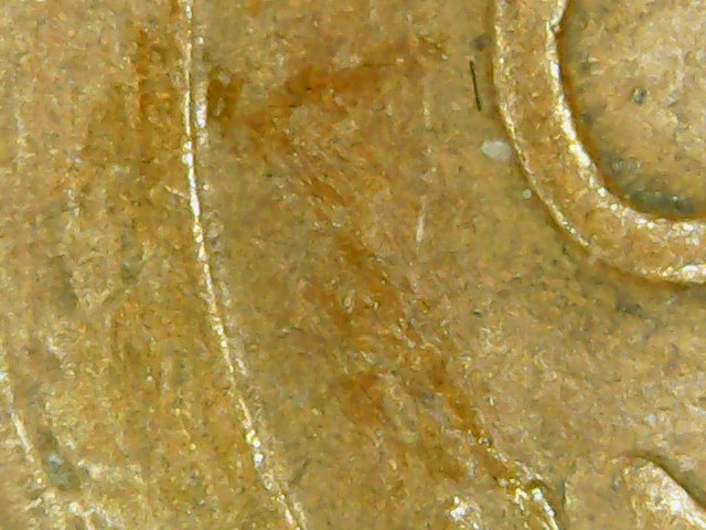 Need-Help,-Very-Strange-Wheat-1c---Must-See-This-!