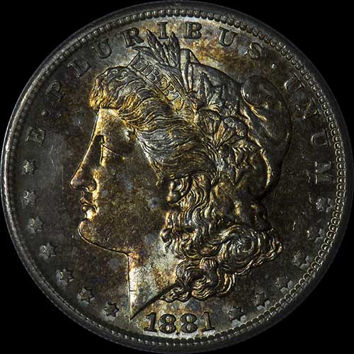 1881-S-$1-Grade-Please