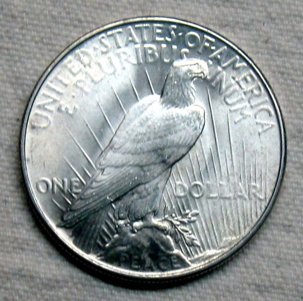 1934-Peace-Dollar-For-Grading