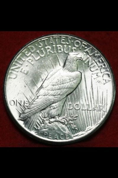1927-Peace-Dollar-For-Grading