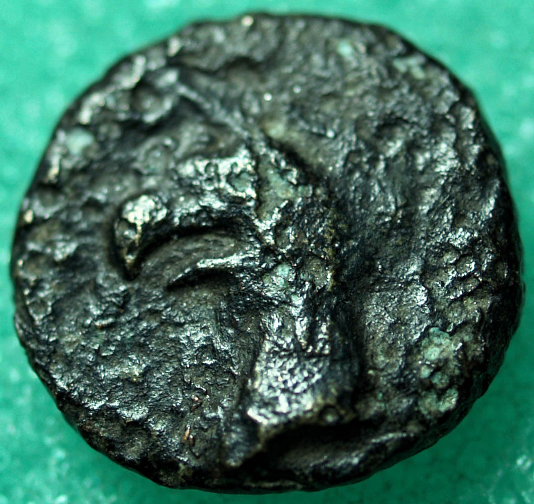 Identifying-Greek-Ancient-Coins-#1