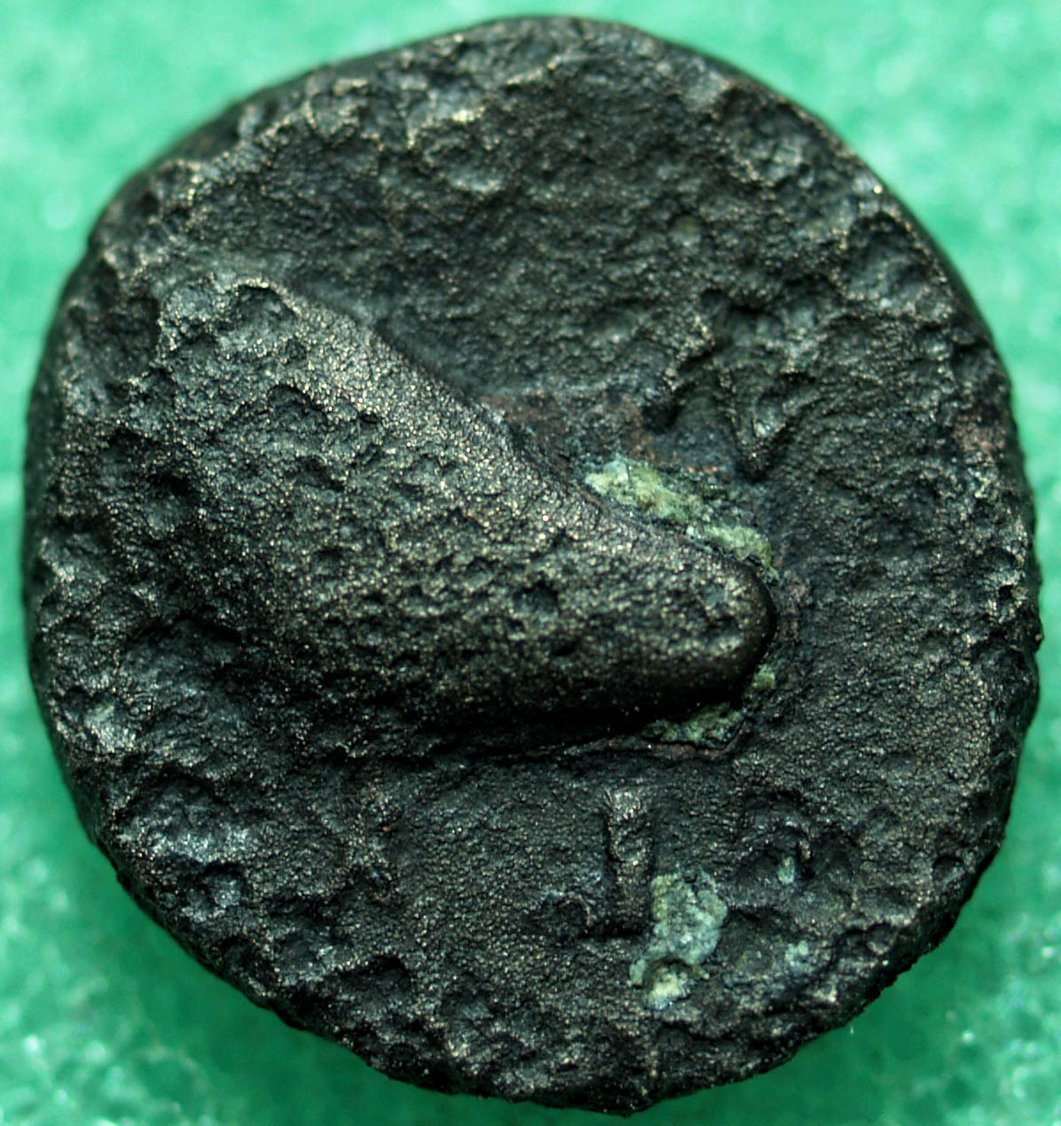 Identifying-Greek-Ancient-Coins-#1