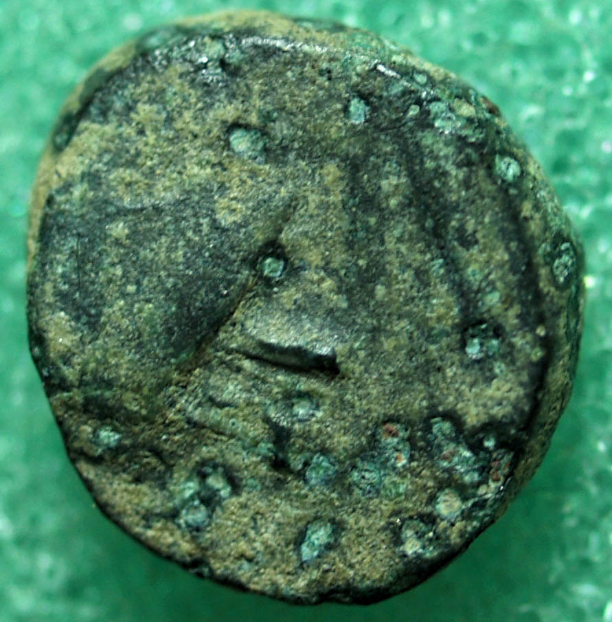 Identifying-Greek-Ancient-Coins-#1