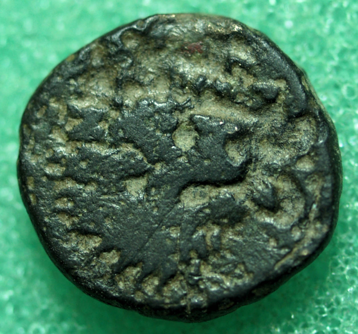 Identifying-Greek-Ancient-Coins-#1
