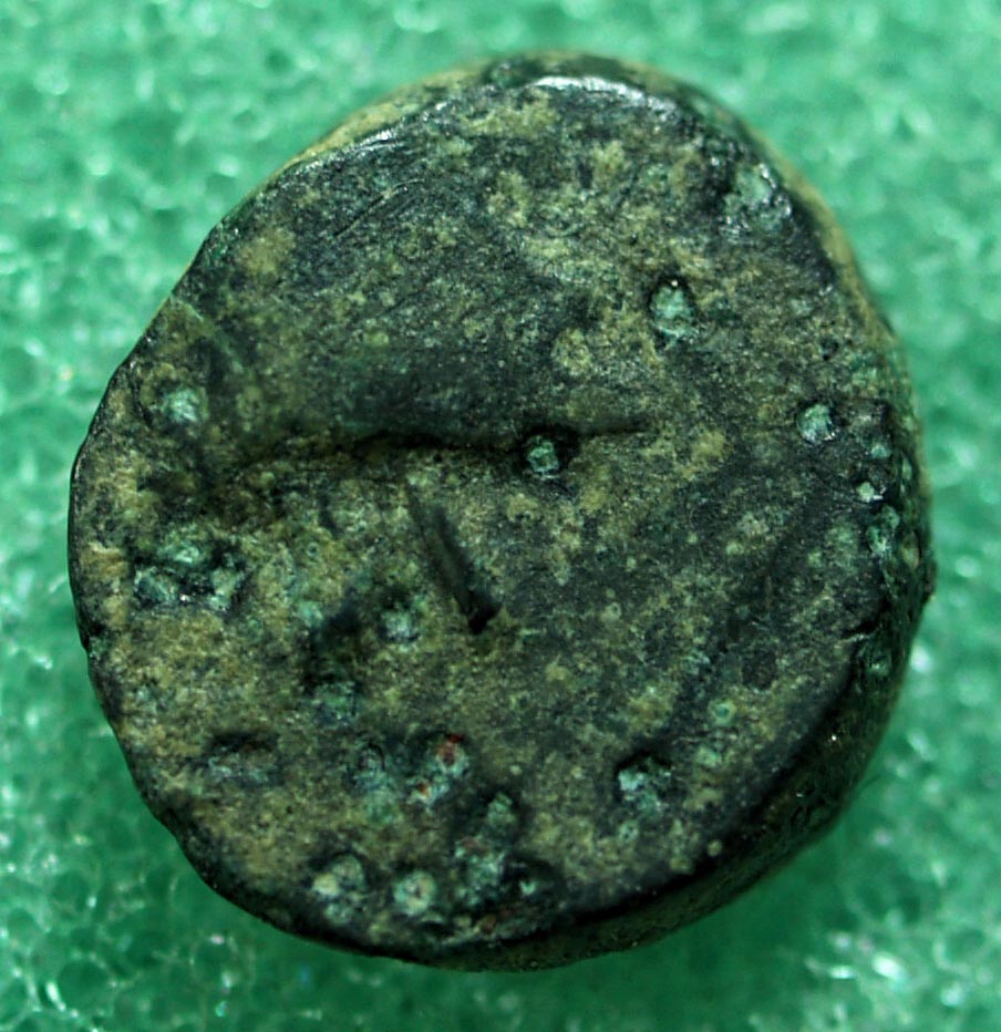 Identifying-Greek-Ancient-Coins-#1