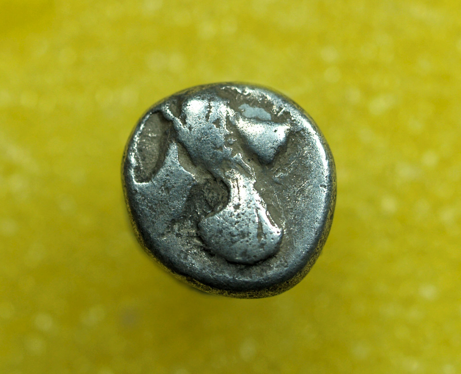 Identifying-Ancient-Greek-Coins-#7