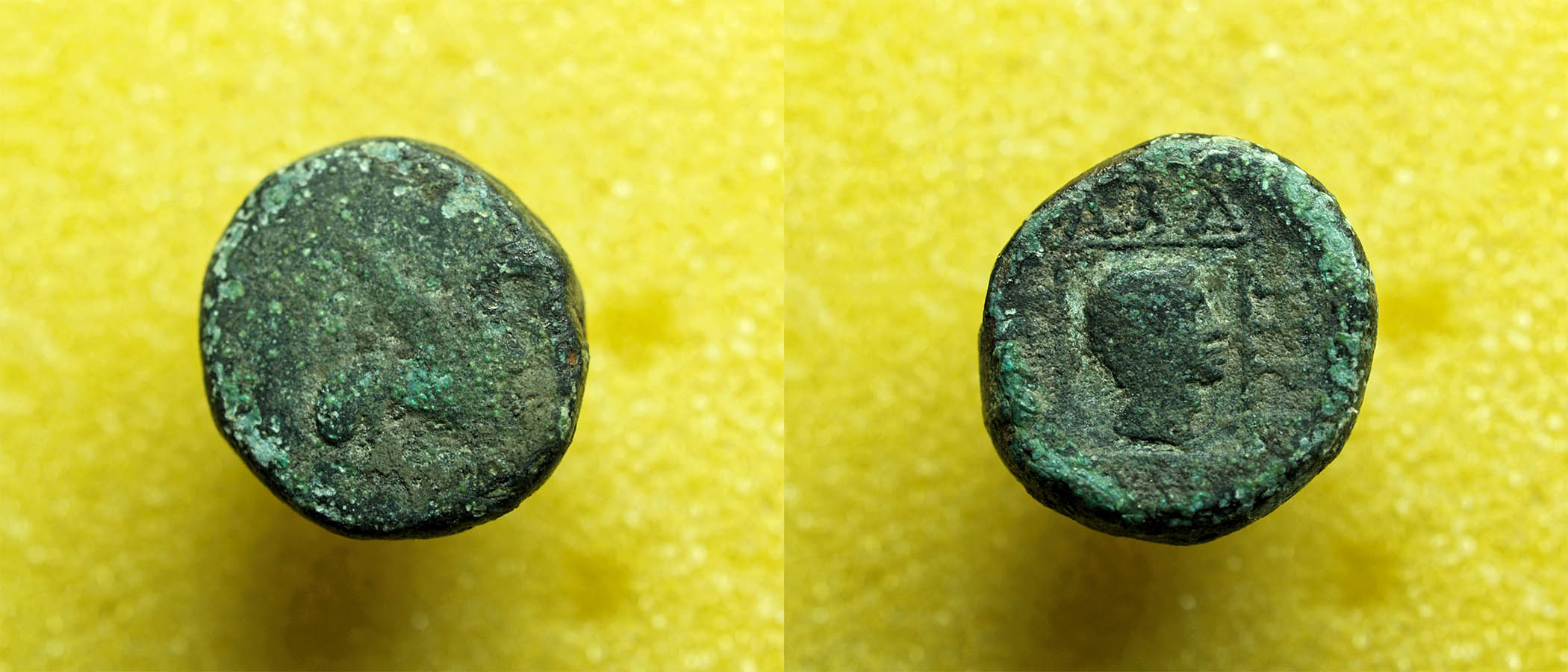 Identifying-Ancient-Greek-Coins-#24