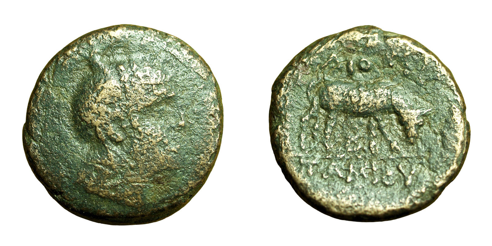 Ancient-Greek-Coin-With-Horse-To-Identify