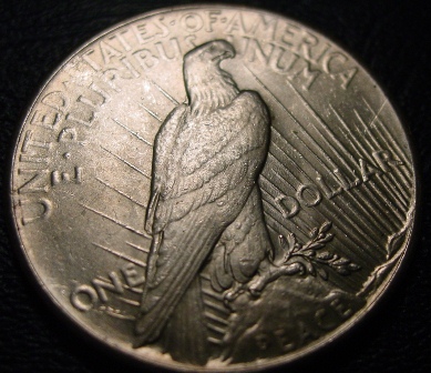 Peace-Dollar-Need-Help