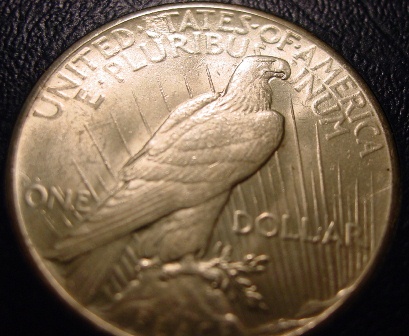 Peace-Dollar-Need-Help