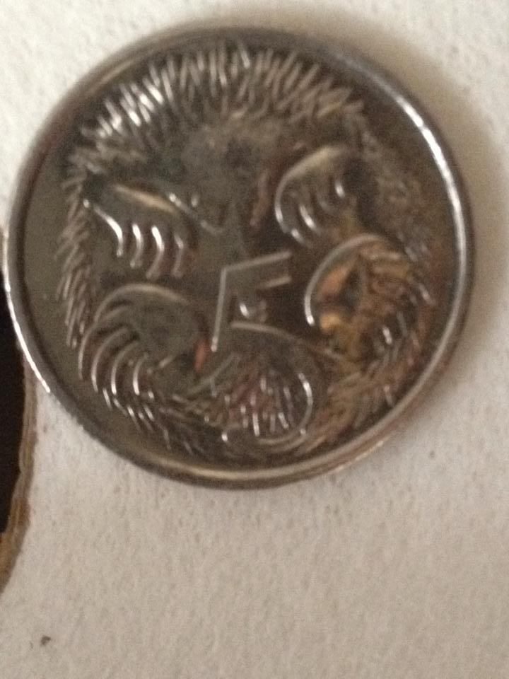 2013-Australian-5-Cent-Piece-No-SD
