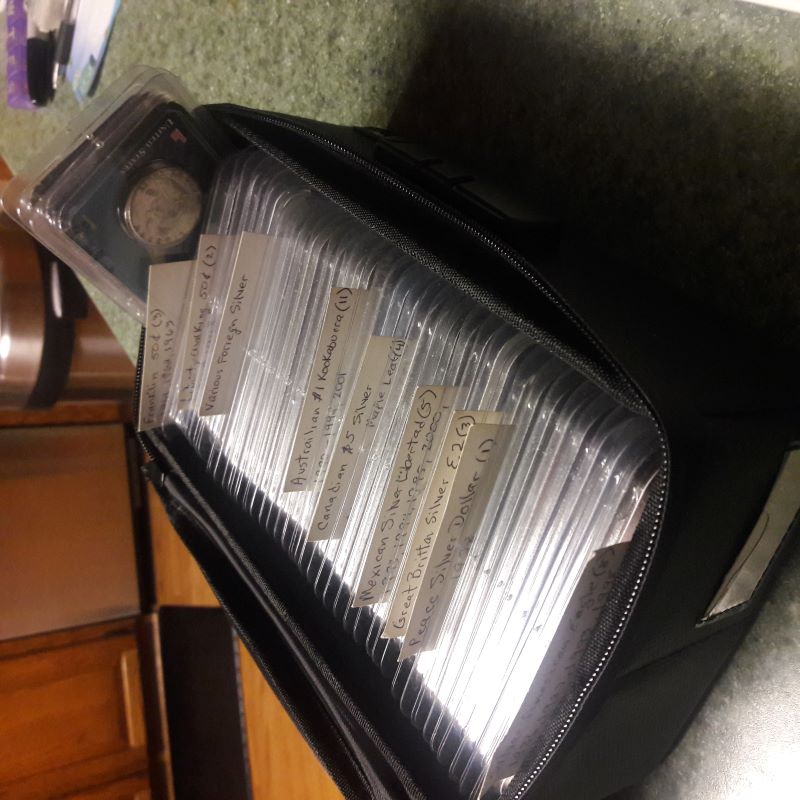 Enjoying-A-Coin-Collection