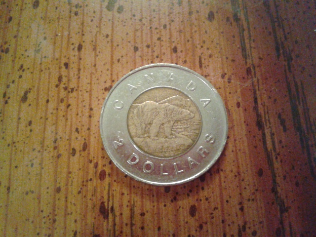 My-First-1998-Toonie!
