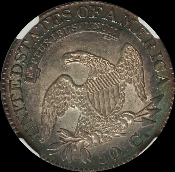 Capped-Bust-Half-For-Grading