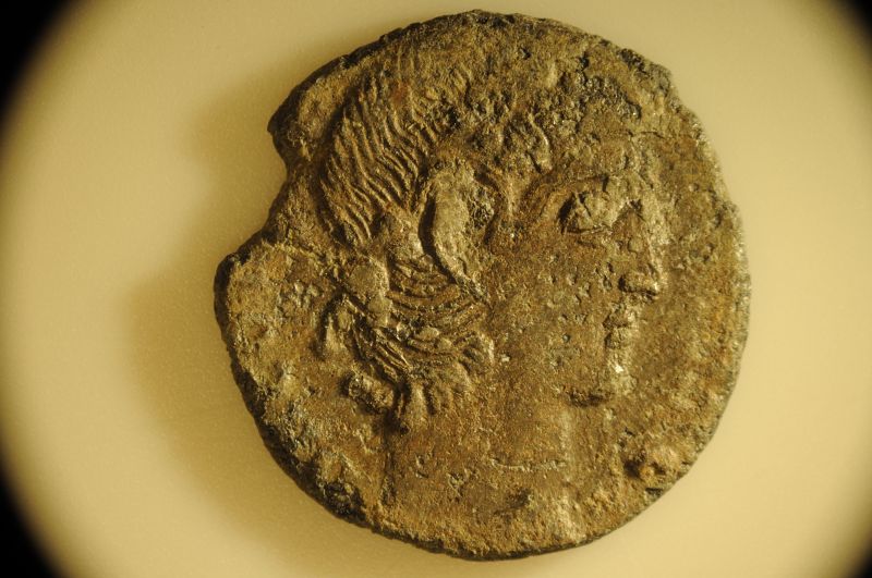Father-And-Son-Jumping-Into-Ancient-Coins!