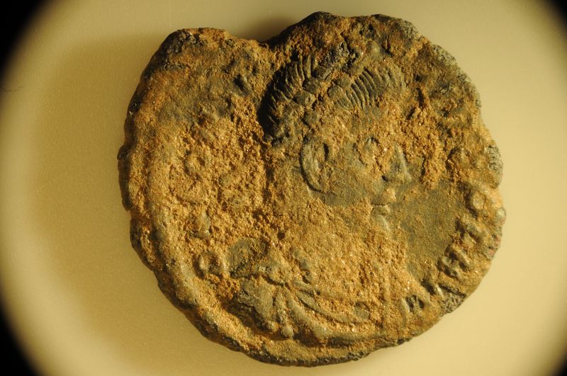 Father-And-Son-Jumping-Into-Ancient-Coins!