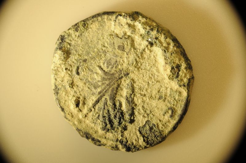 Father-And-Son-Jumping-Into-Ancient-Coins!