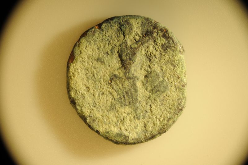 Father-And-Son-Jumping-Into-Ancient-Coins!