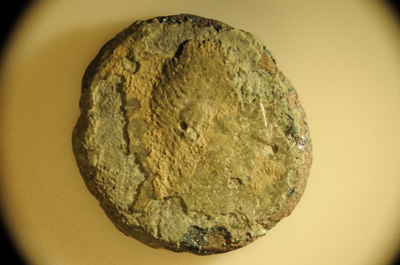 Father-And-Son-Jumping-Into-Ancient-Coins!