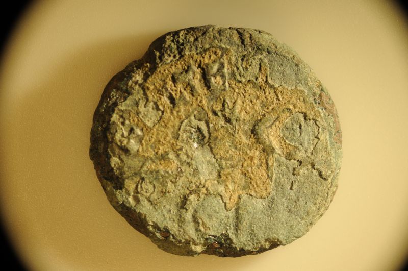 Father-And-Son-Jumping-Into-Ancient-Coins!