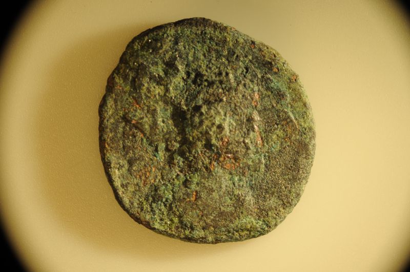 Father-And-Son-Jumping-Into-Ancient-Coins!