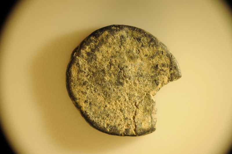 Father-And-Son-Jumping-Into-Ancient-Coins!