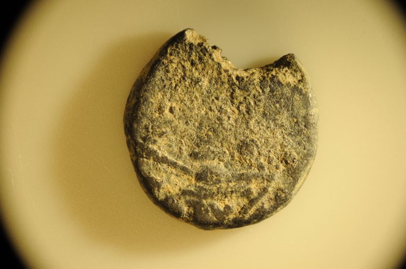 Father-And-Son-Jumping-Into-Ancient-Coins!