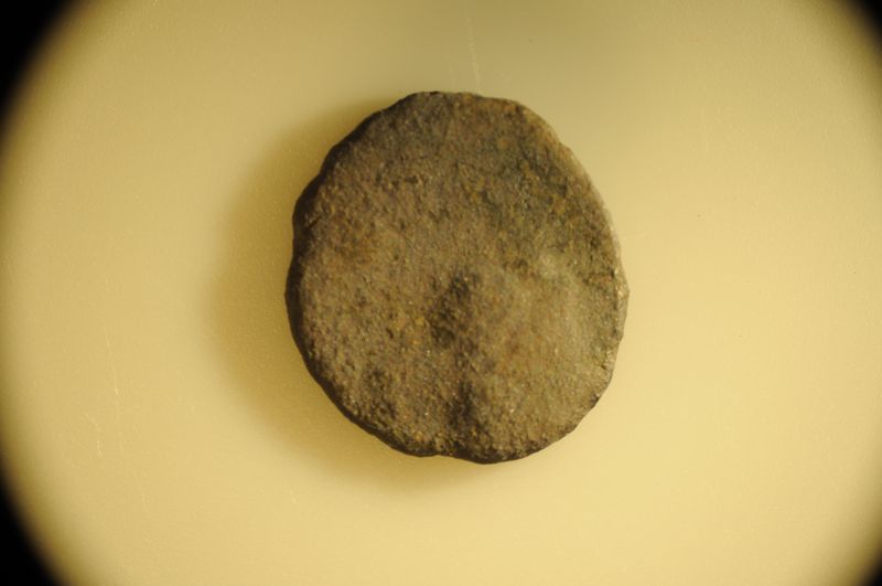 Father-And-Son-Jumping-Into-Ancient-Coins!