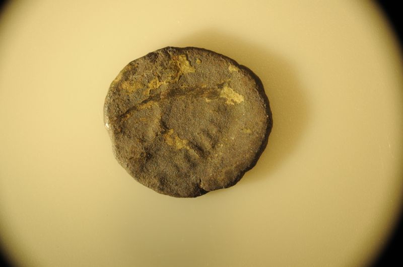 Father-And-Son-Jumping-Into-Ancient-Coins!