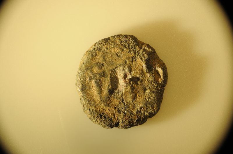 Father-And-Son-Jumping-Into-Ancient-Coins!