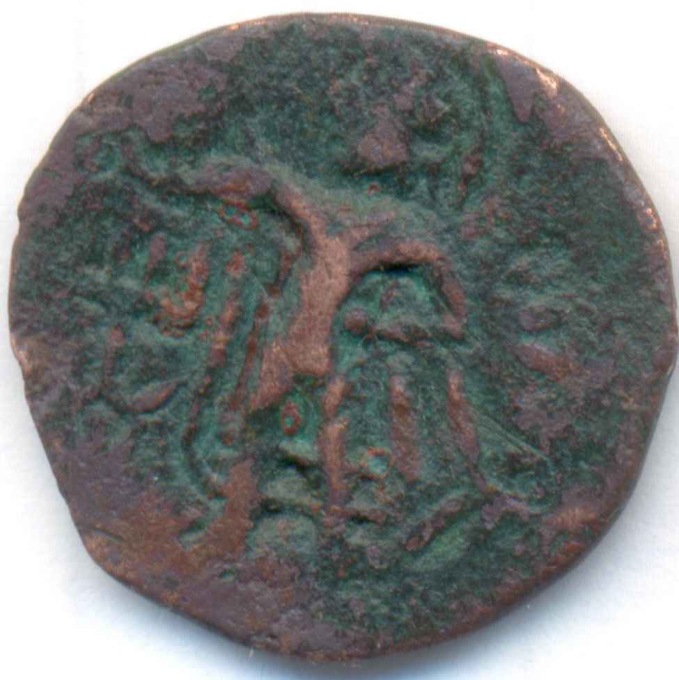 Help-Identifying-Coins