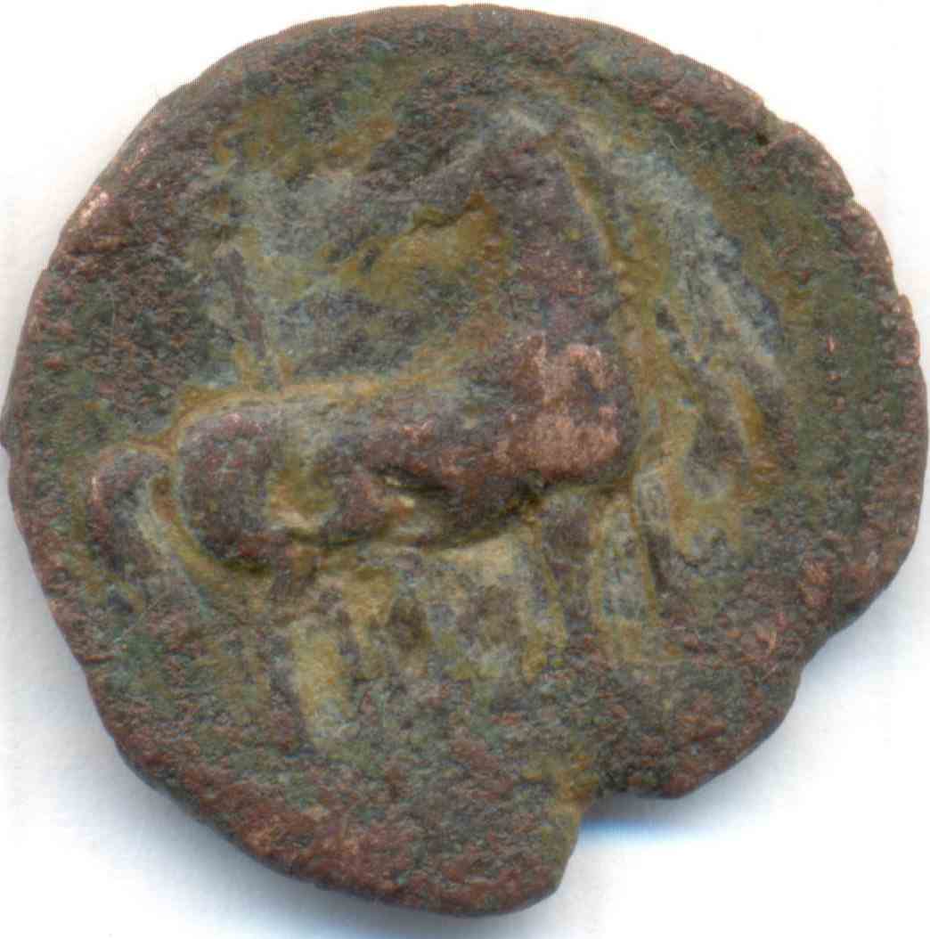 Help-Identifying-Coins