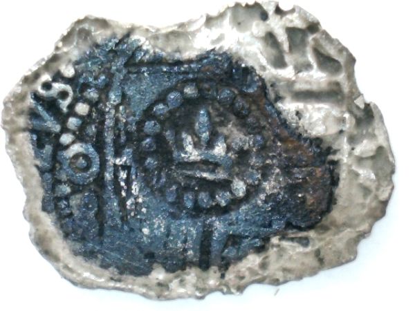 Corroded-Cobs-From-Gorda-Cay-In-The-Bahamas